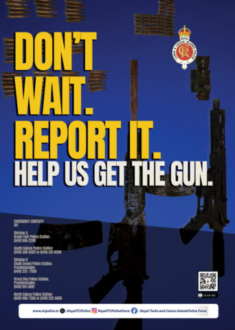 Help Us Get the Gun.